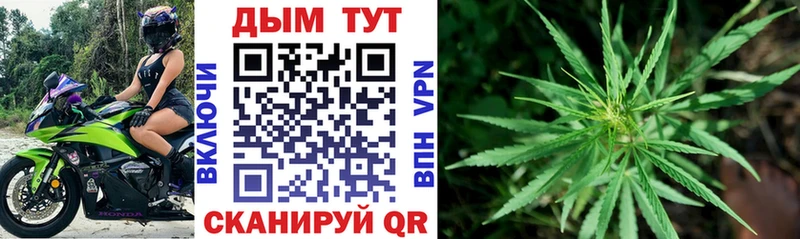 Наркотические вещества Гурьевск ГАШ  Бошки Шишки  COCAIN  МЕФ 