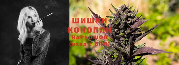 гашик Алзамай