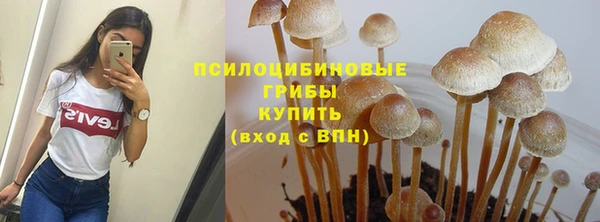 гашик Алзамай