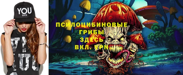 гашик Алзамай