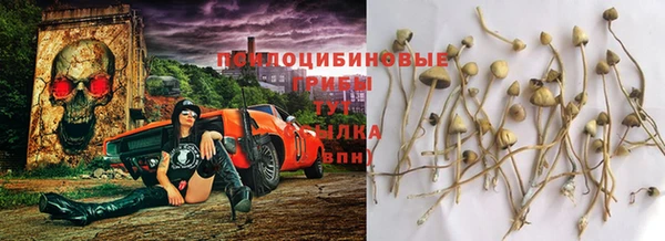 гашик Алзамай