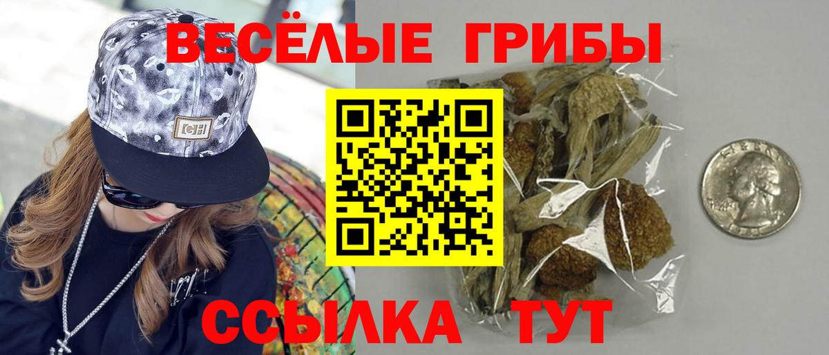 Галлюциногенные грибы Psilocybine cubensis Гурьевск