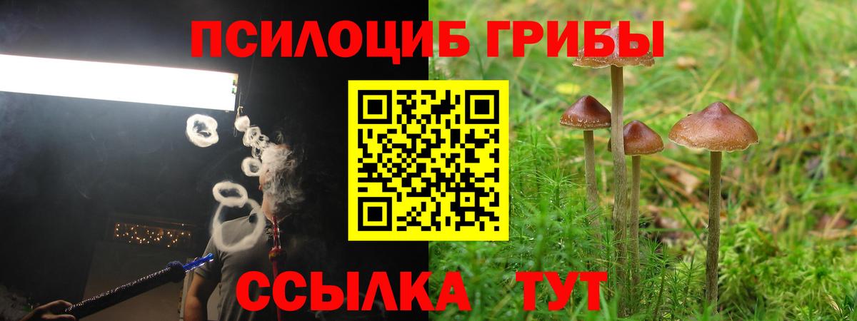 как найти закладки  Галлюциногенные грибы мицелий  Вход с VPN  Гурьевск 