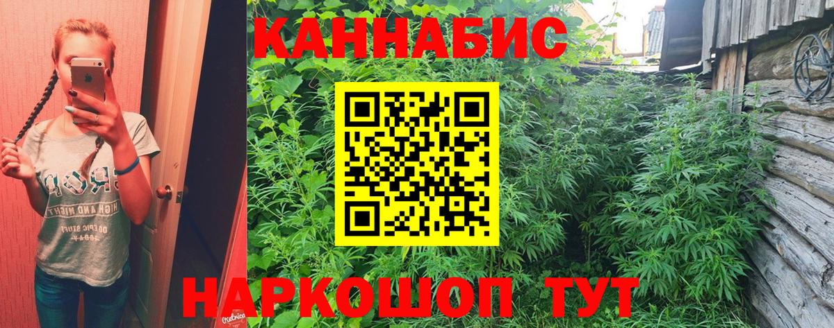 Шишки марихуана планчик  Каннабис сатива  Вход с VPN  Канабис Bruce Banner  Гурьевск 